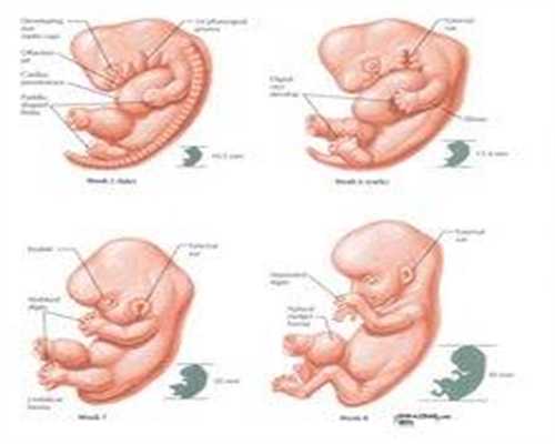 哪里好找代孕妈妈:卵巢性不孕患者如何检查