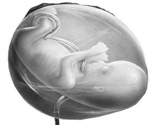 香港捐卵代孕包成:乌克兰助孕           :郑州不孕