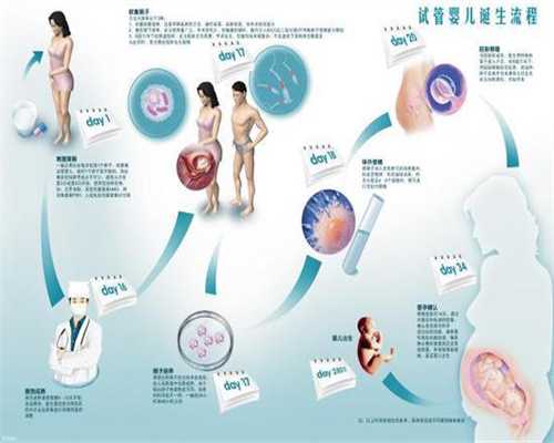 香港捐卵代孕包成:乌克兰助孕           :郑州不孕