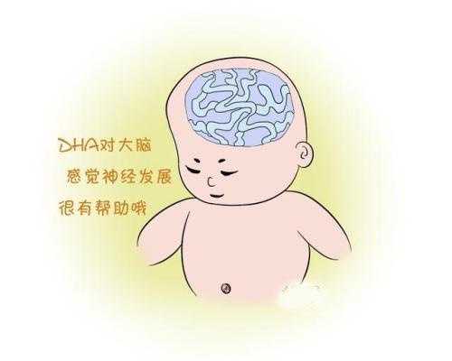 上海代孕费用:关于试管婴儿必知的5件事