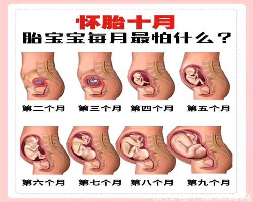上海代孕费用:关于试管婴儿必知的5件事