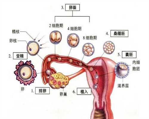 广州代孕机构:月经推迟好久了一直不来