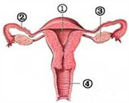 哪里要代孕代孕妈妈-借卵试管代孕婴儿的案例