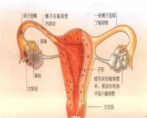 济宁代孕那里做得较好·济宁中国合法的代孕机构