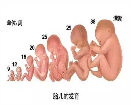 邯郸代孕生宝宝·邯郸女生不孕不育的前兆·无精