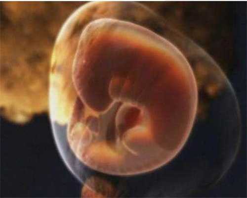 洛阳大学生想代孕-没有卵巢可以做代孕吗-代孕尿