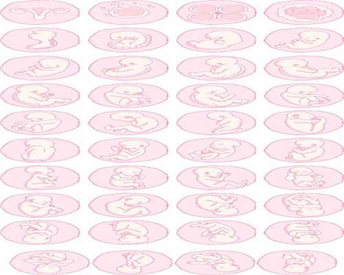 代孕系列·7个症状暗示卵巢早衰·港媒曝滨崎步秘