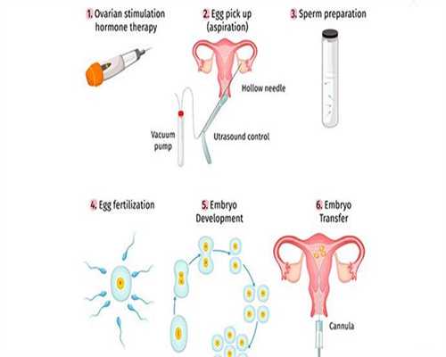 试管代孕术前检查流程-供卵试管流程_做个试管代孕具体费用-国内试管代孕中介