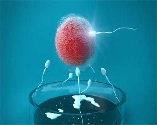 供卵试管存在的意义-试管代孕建议_供卵试管公司流程-供卵试管医院谁做过_孩