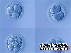 浙江供卵生殖,杭州有做供卵试管的医院吗？附详细医院排名