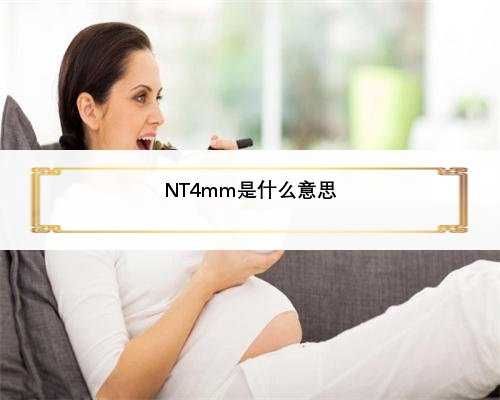 NT4mm是什么意思